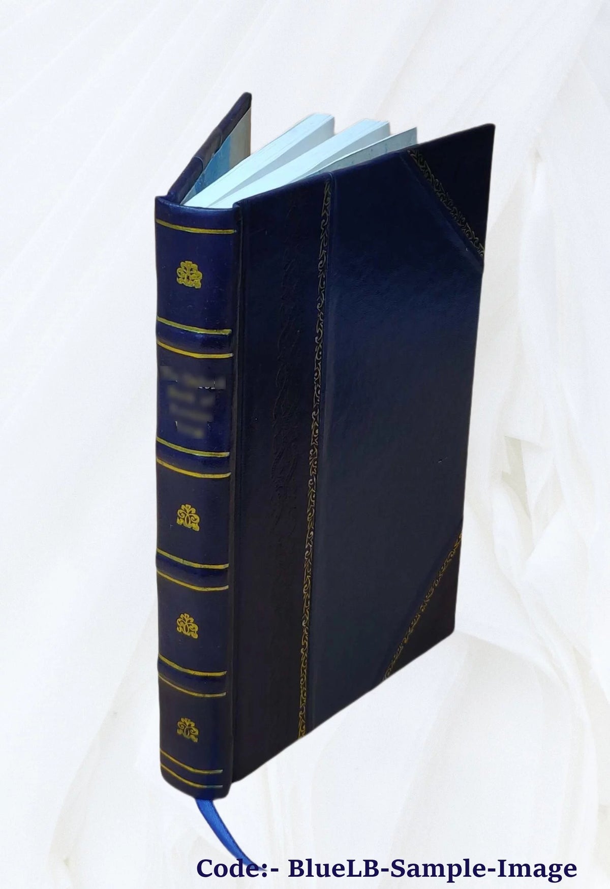 Leather Bound S896