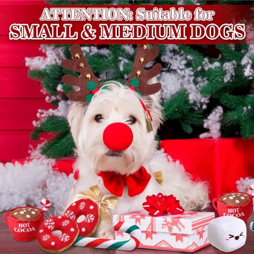 12 Pack Squeaky Dog Toys H36273
