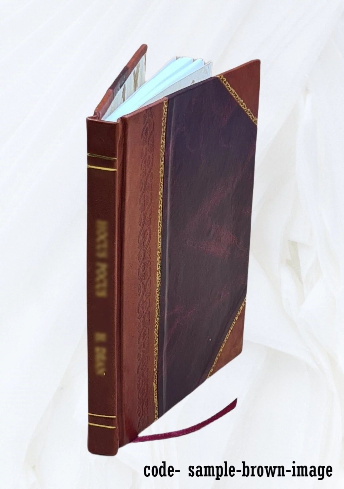 Leather Bound A594