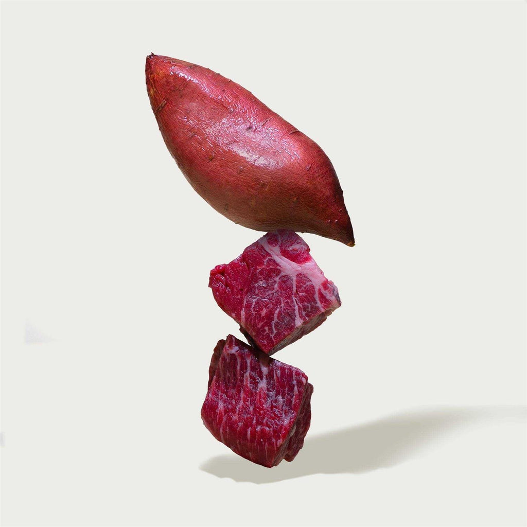 Natural Beef Recipe Dog Food Topper B626774