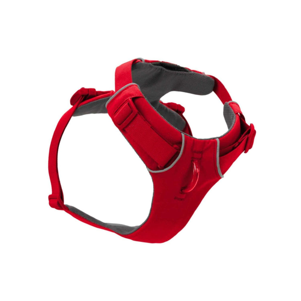 Front Range Harness D98815