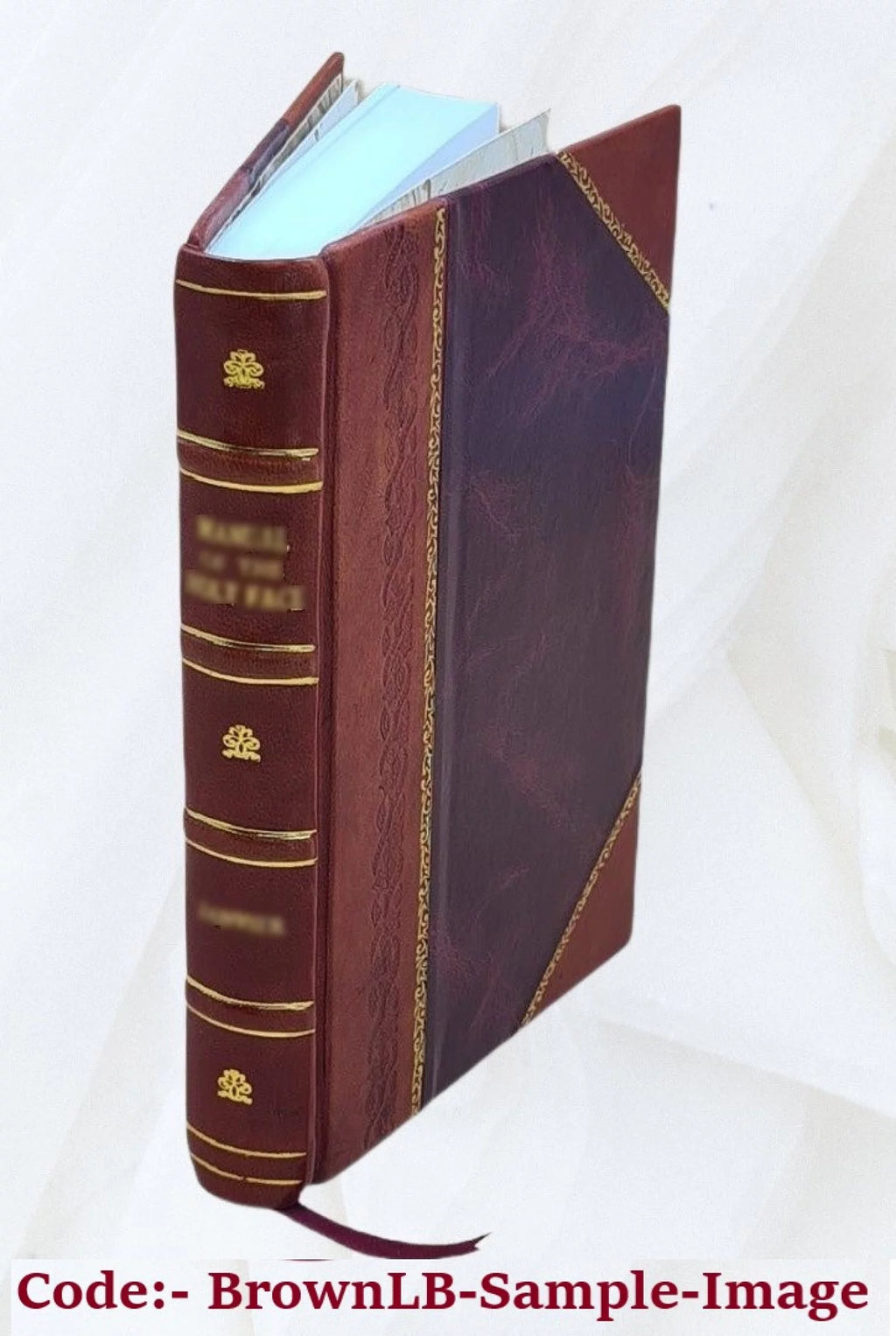 Leather Bound S896