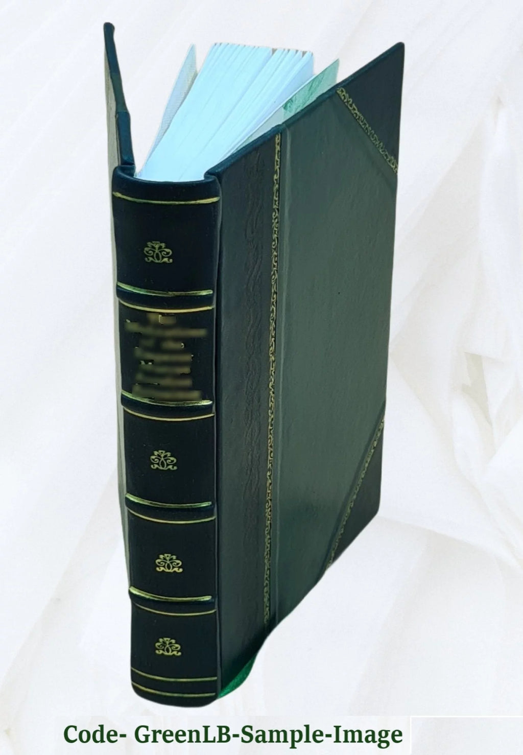 Leather Bound S896