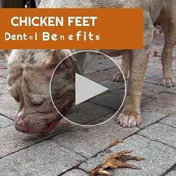 Chicken Feet Dog Treats A160