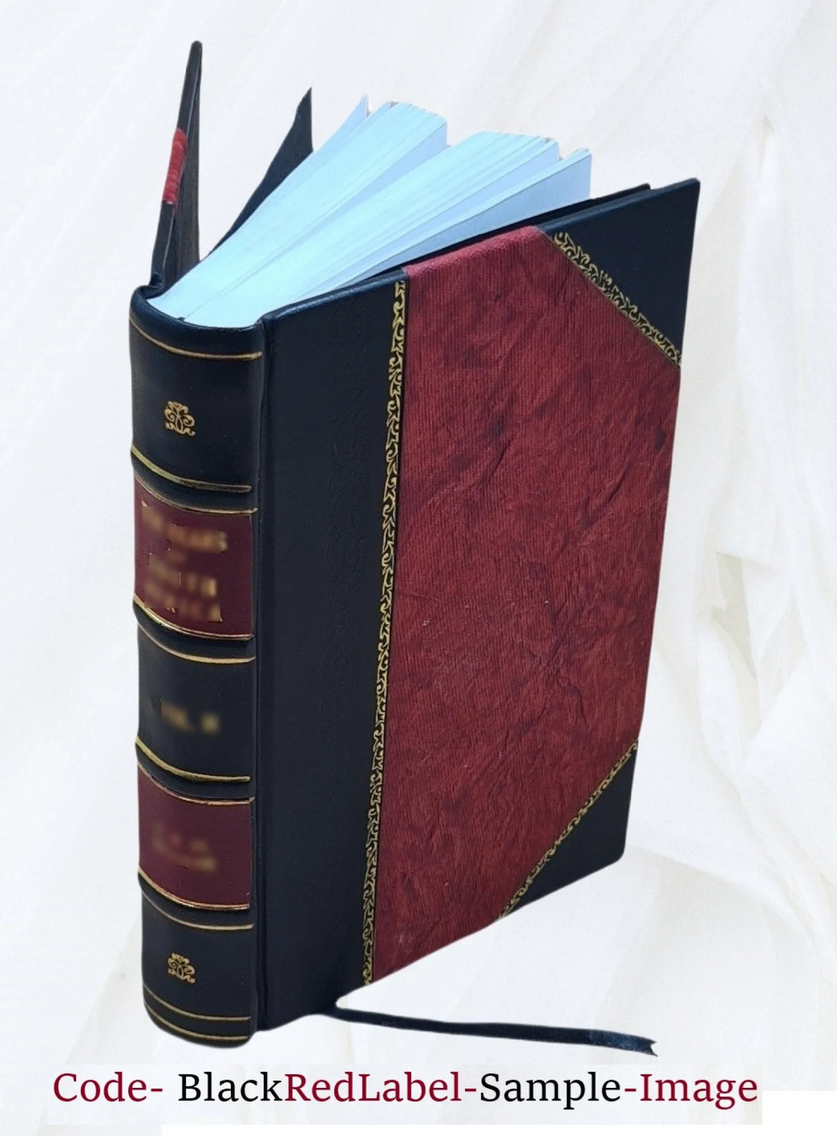 Leather Bound S896